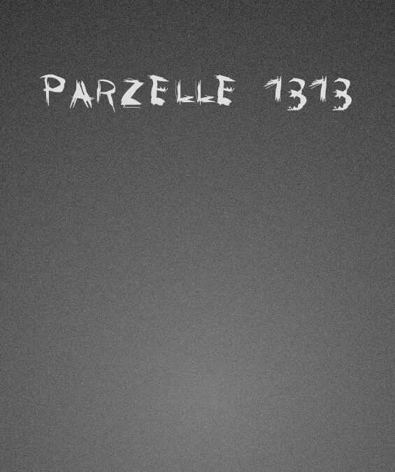 Parzelle 1313