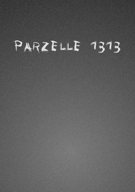 Parzelle 1313